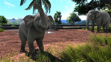  Zoo Tycoon: Can You Build the Ultimate Animal Sanctuary?