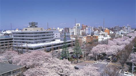 相模原市役所 採用：未来への架け橋